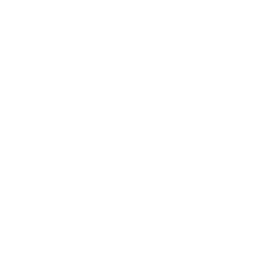 Analog