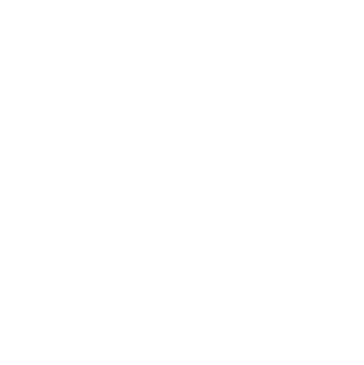System